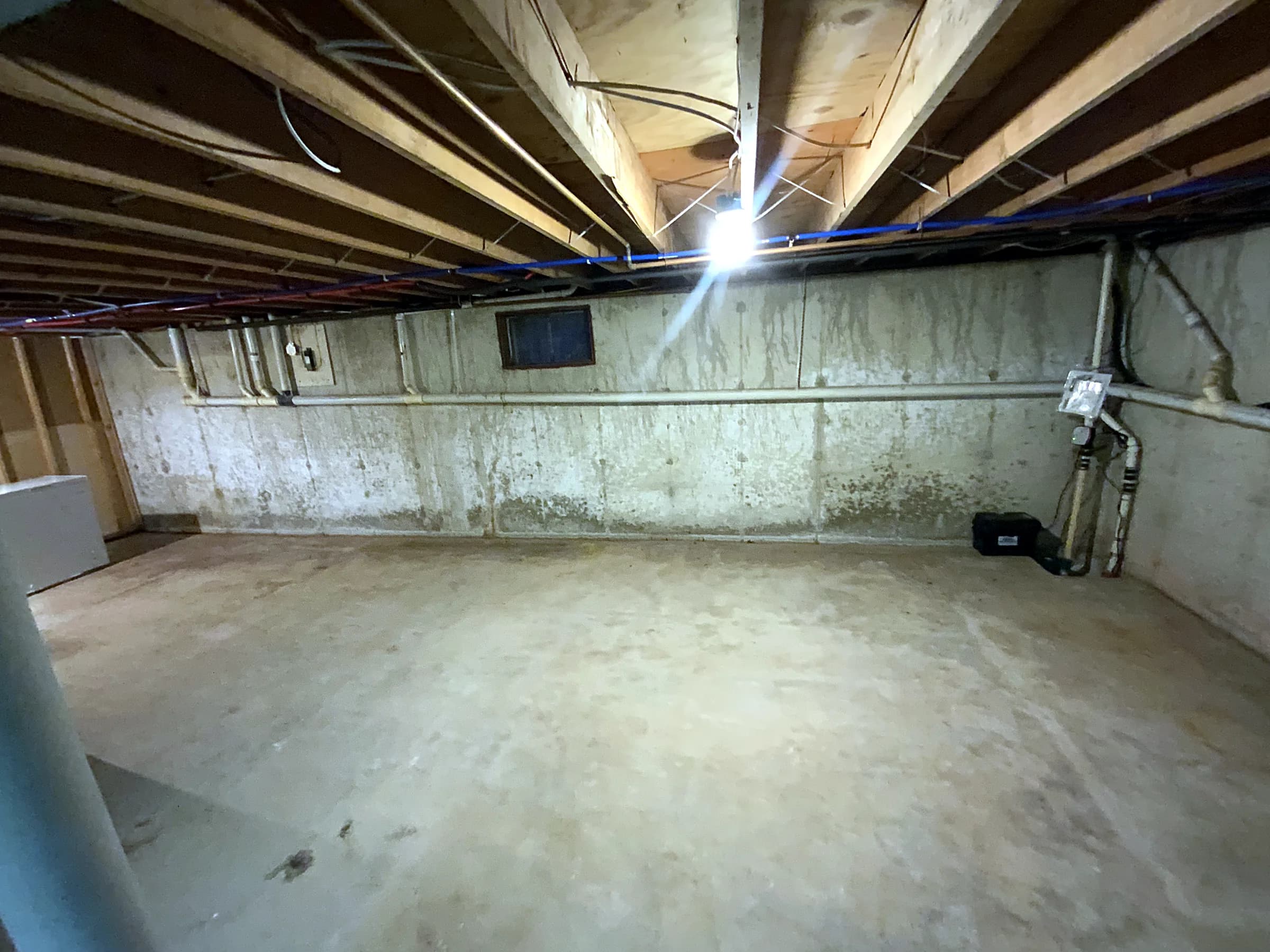 Bare basement to full living suite before